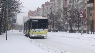 Пензенский мэр выразил свою позицию относительно транспортной реформы