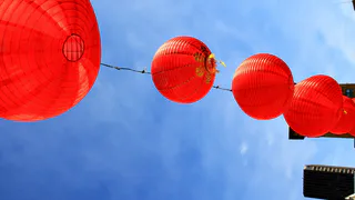 Большинство россиян знают свой символ по китайскому календарю