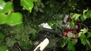 Последствия урагана: на 4-й Линии ветер повалил деревья на машины и оборвал провода