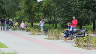 Открыть не успели! В Скобелевском сквере воруют лавочки