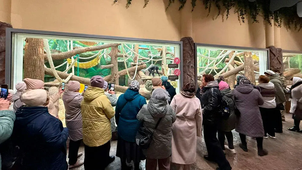 Активисты добровольческого движения из Нижнекамска посетили Казань для обмена опытом с местными волонтерами