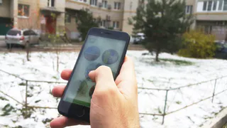 Экологический Рязанский Альянс представил свое мобильное приложение. Разбираемся, зачем оно вообще нужно