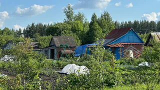 Теперь это запрещено: абсолютно всех, у кого есть туалет на даче, ошарашили новым правилом с 1 августа
