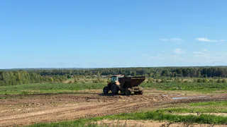 Еще 114 тысяч гектаров: в Татарстане не до конца собрали урожай