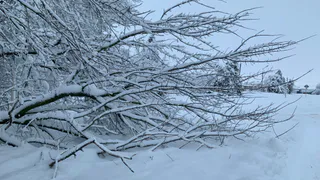 В Пензе службы перевели в режим повышенной готовности из-за снегопадов