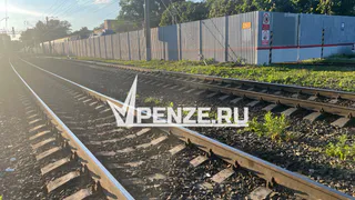 Женщина попала под поезд на станции в Лунино
