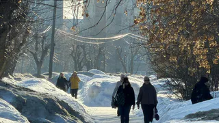 Нижнекамцам предлагают решить судьбу парка Нефтехимиков
