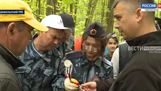В Цивильском округе поисковики нашли обломки военного самолета, потерпевшего крушение в 1944 году