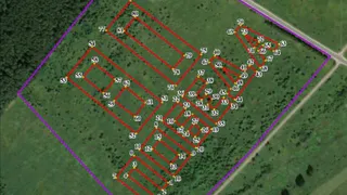 Во Владимирской области высадят гигантский геоглиф к 80-летию Победы