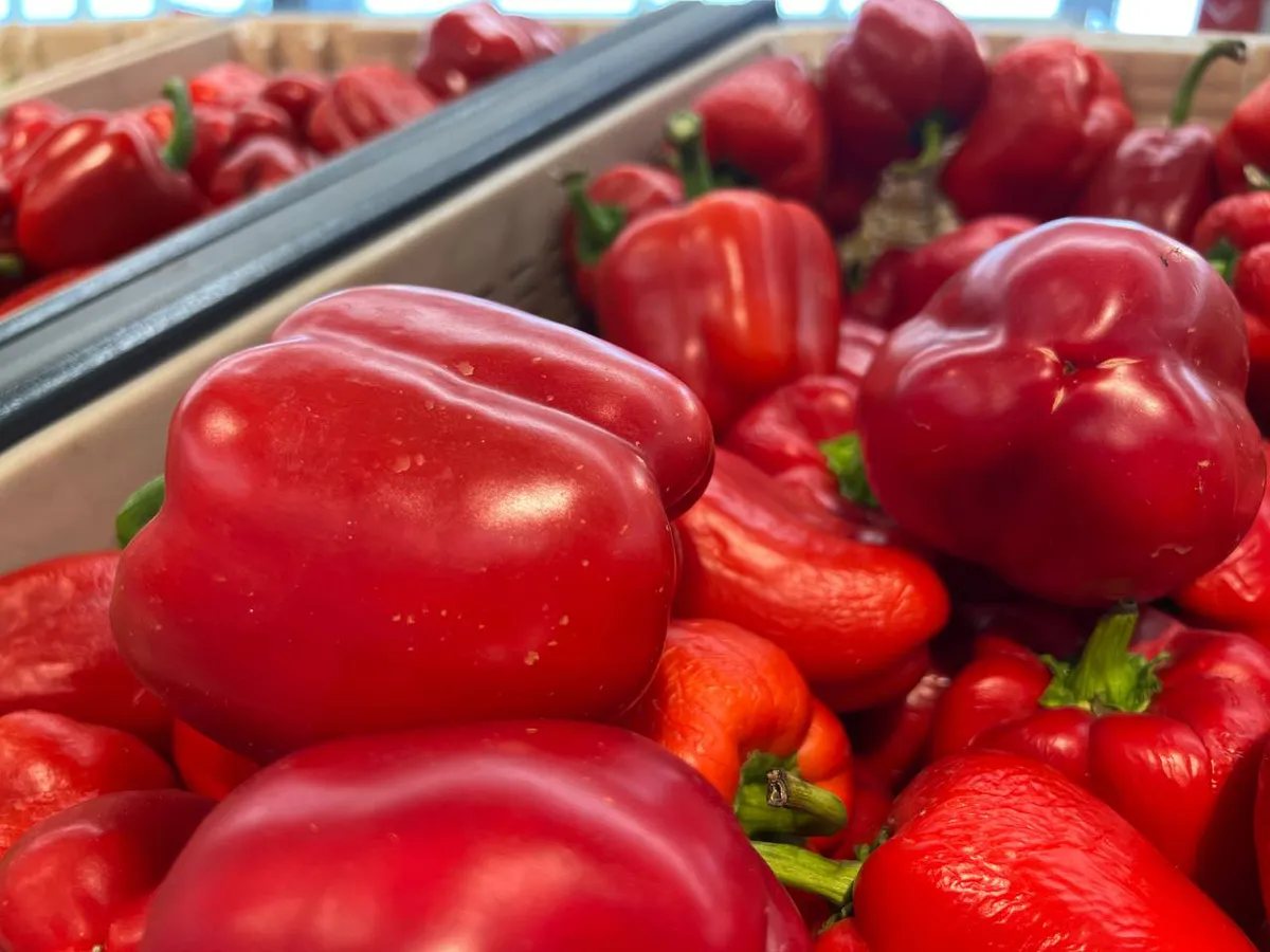 1 горсть в лунку, и перцы начнут расти как на дрожжах: до 5 килограммов крупных и сочных плодов с куста