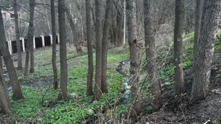 Исчезавшая без вести в декабре 2023 года жительница Пензы найдена мертвой