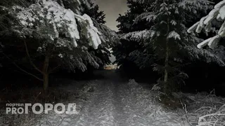 Поиски завершены: в Коми нашли пропавшего мужчину