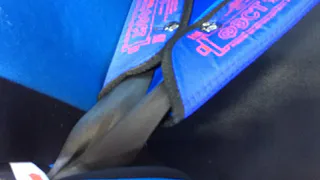 Рязанским водителям разъяснили, как выбирать детские удерживающие устройства