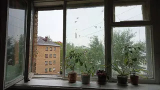 Всего одна капля в раствор и герань будет цвести непрерывно круглый год