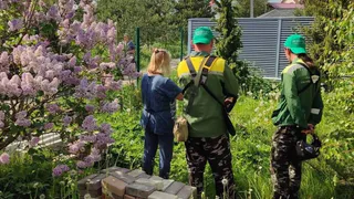 Жене бойца СВО из Владимира помогли муниципальные службы