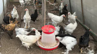 Купил дом в глухой деревне, был счастлив только первые три года, потом сел, посчитал и ахнул - надо было делать по-другому