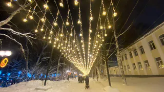 Сыктывкарцы отстояли праздничную иллюминацию в Кировском парке