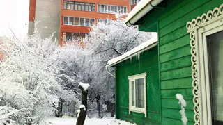 Какой будет зима: "вишнёвой" или лютой?