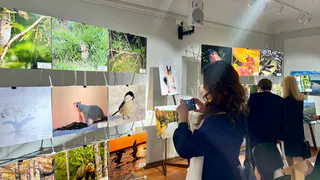 В Сыктывкаре наградили победителей конкурса "Фотоохота на заповедных территориях"