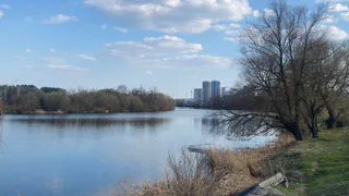 В воскресенье в Пензенской области температура поднимется до +13