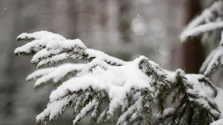 Первые настоящие морозы придут в Челябинскую область на выходных: регион во власти зимы