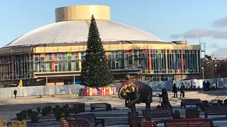 Стала известна дата открытия рязанского цирка