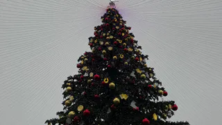 Юные рязанцы снова могут позвонить на горячую линию Деда Мороза