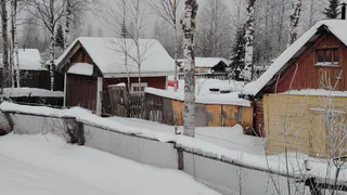 Погода в Коми 19 января: температура поднимется выше нуля