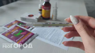 В Челябинской области заболеваемость гриппом и ОРВИ среди детей выросла на 70%