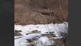 Депутат Ягудин потребовал разобраться с пеной в реке под Нижнекамском