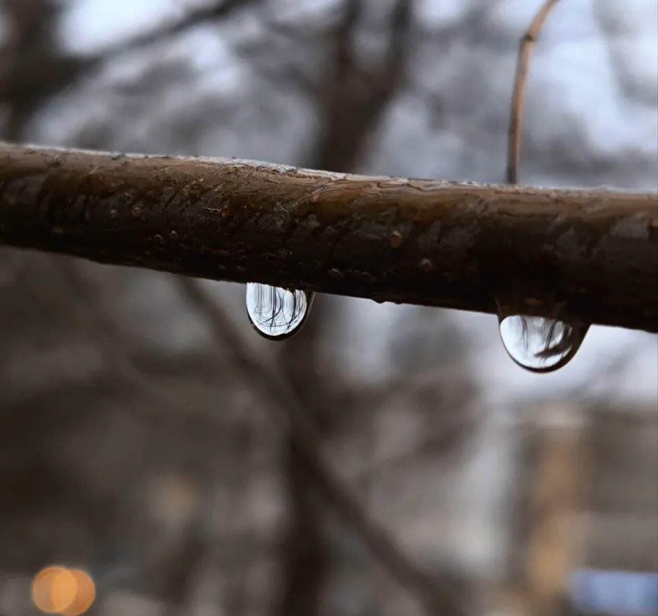 29 ноября в Нижнекамске ожидается переменчивая погода