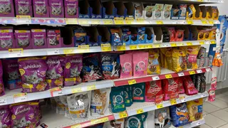 "Не травите этим кошек": в Роскачестве озвучили марки корма для питомцев, которые лучше не покупать