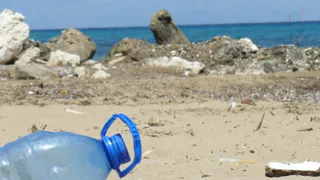 Без ротавируса не уедете: россиянам назвали самый опасный курорт. Антисанитария и грязное море