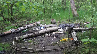 Грязь и ветхие деревья: парк на Белякова не убирали с осени