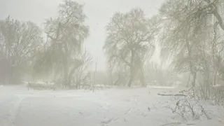 Зима не уходит: Татарстан заметает снегом