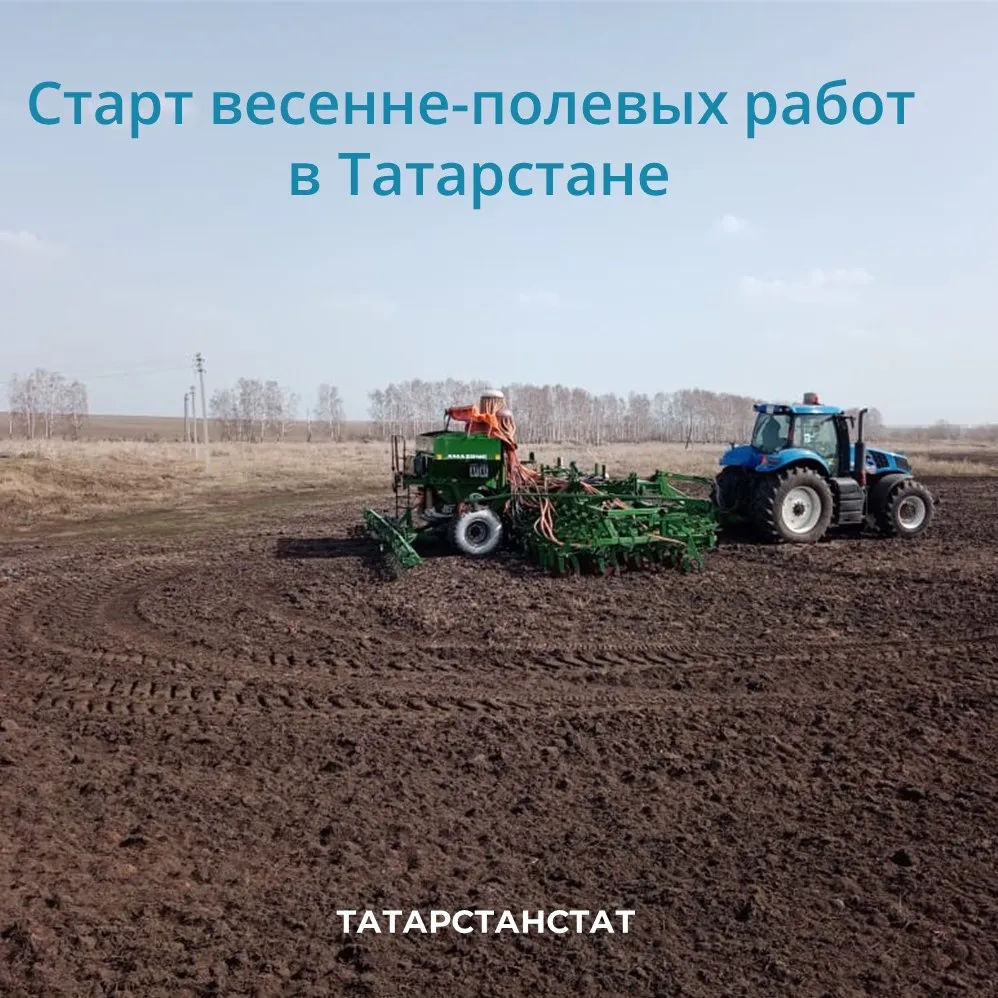 В прошлом году на полях Татарстана собрано 5,5 млн тонн зерна