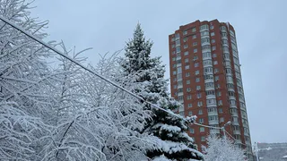 Новогодний график выходных и рабочих дней могут изменить из-за обстановки в стране - отдыхать будем в другие дни
