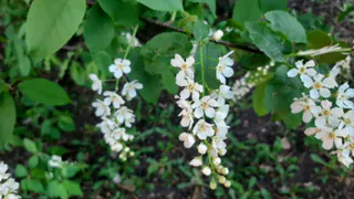 Сегодня, 11 апреля, в Татарстане местами ожидается туман