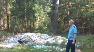 Природоохранная прокуратура требует Минлесхоз убрать свалку близ Коврова