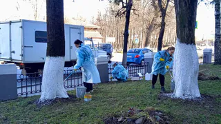 Во Владимирской области продолжается акция «Молодёжь для врачей региона»