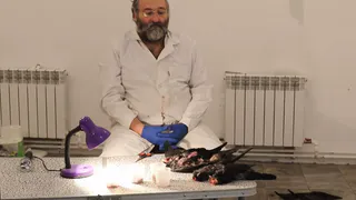 Орнитолог с мировым именем сообщил, что птицы в Рязани погибли из-за яда в воздухе