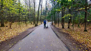 9 ноября в Рязанской области ожидается дождь и +8 градусов