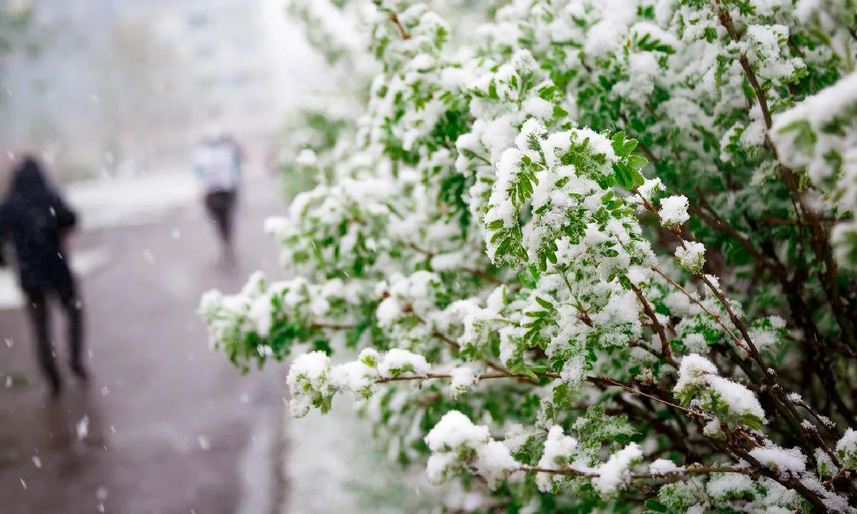 С 18 июля температура опустится ниже десяти градусов: Роман Вильфанд ошарашил прогнозом о затяжных дождях и похолодании
