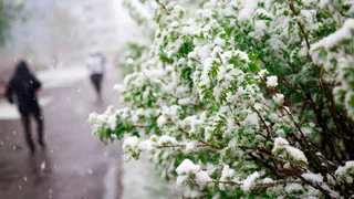 С 18 июля температура опустится ниже десяти градусов: Роман Вильфанд ошарашил прогнозом о затяжных дождях и похолодании