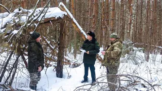 Лесные инспекторы Чувашии следят за здоровьем лесов