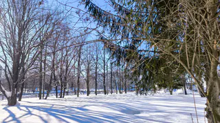 Гололедица и порывистый ветер ожидаются в Татарстане 22 февраля