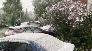 Весной ударят аномальные морозы намного хлеще зимних. Синоптики дали прогноз на март и апрель        