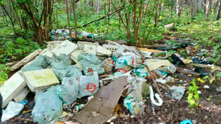 В лесу Чувашии обнаружили свалку на площади около 15 квадратных метров