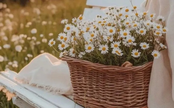 В какие числа владимирцы работают, а в какие отдыхают