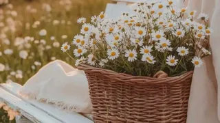 В какие числа владимирцы работают, а в какие отдыхают